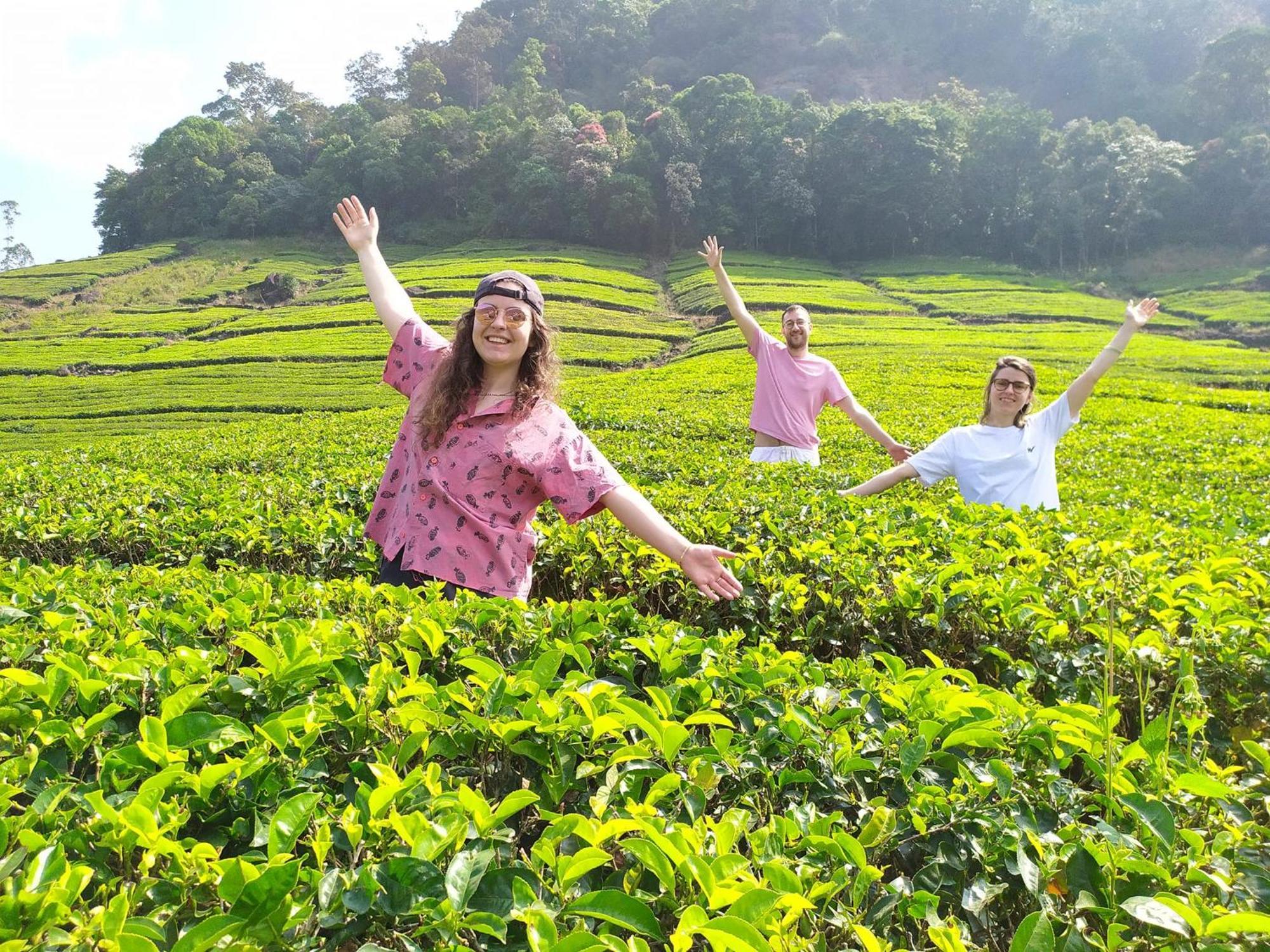 Forestscape Resort Munnar Eksteriør billede