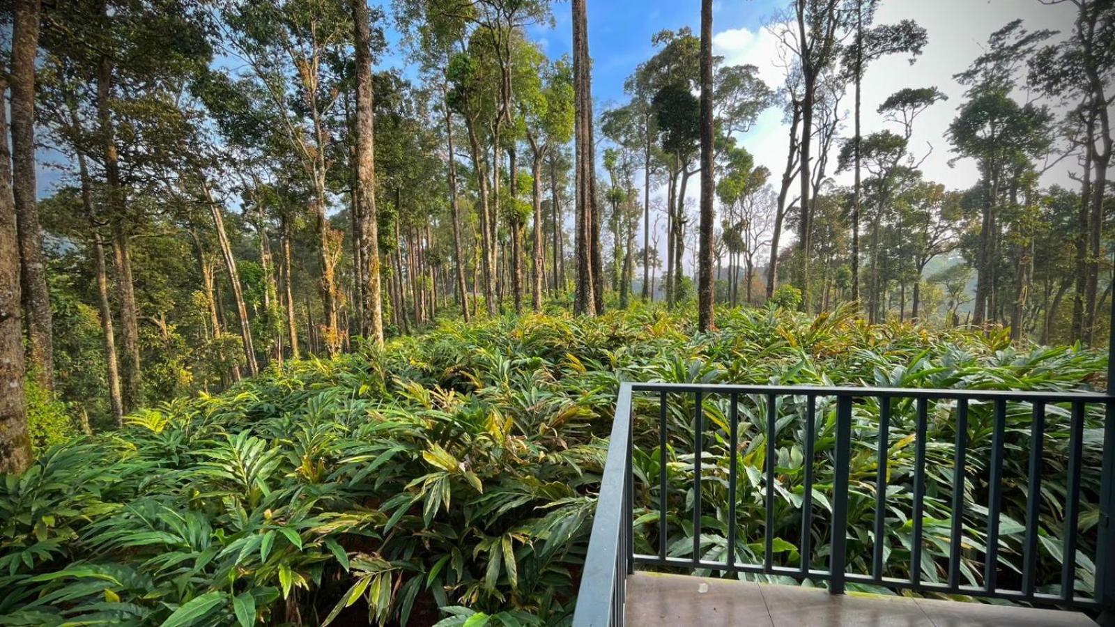 Forestscape Resort Munnar Eksteriør billede