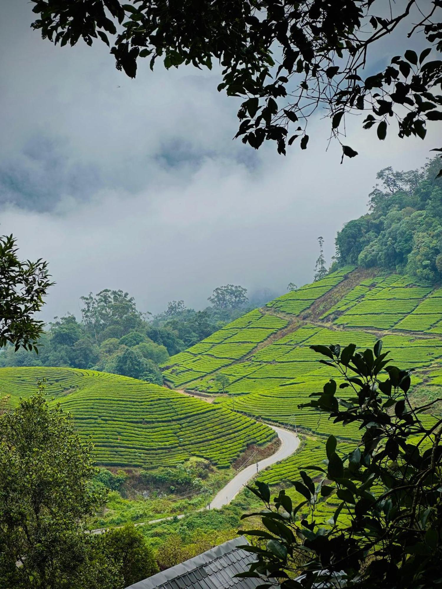 Forestscape Resort Munnar Eksteriør billede