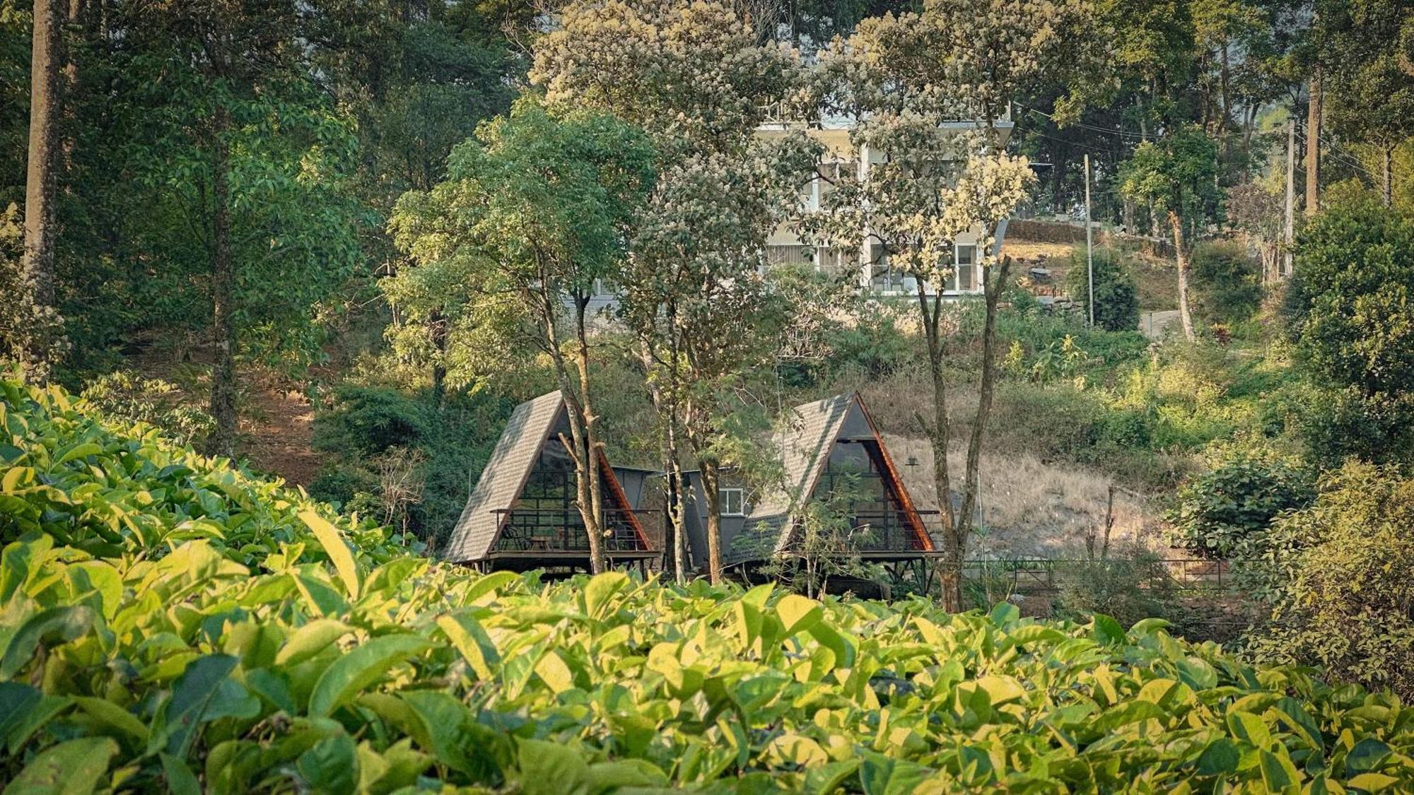 Forestscape Resort Munnar Eksteriør billede