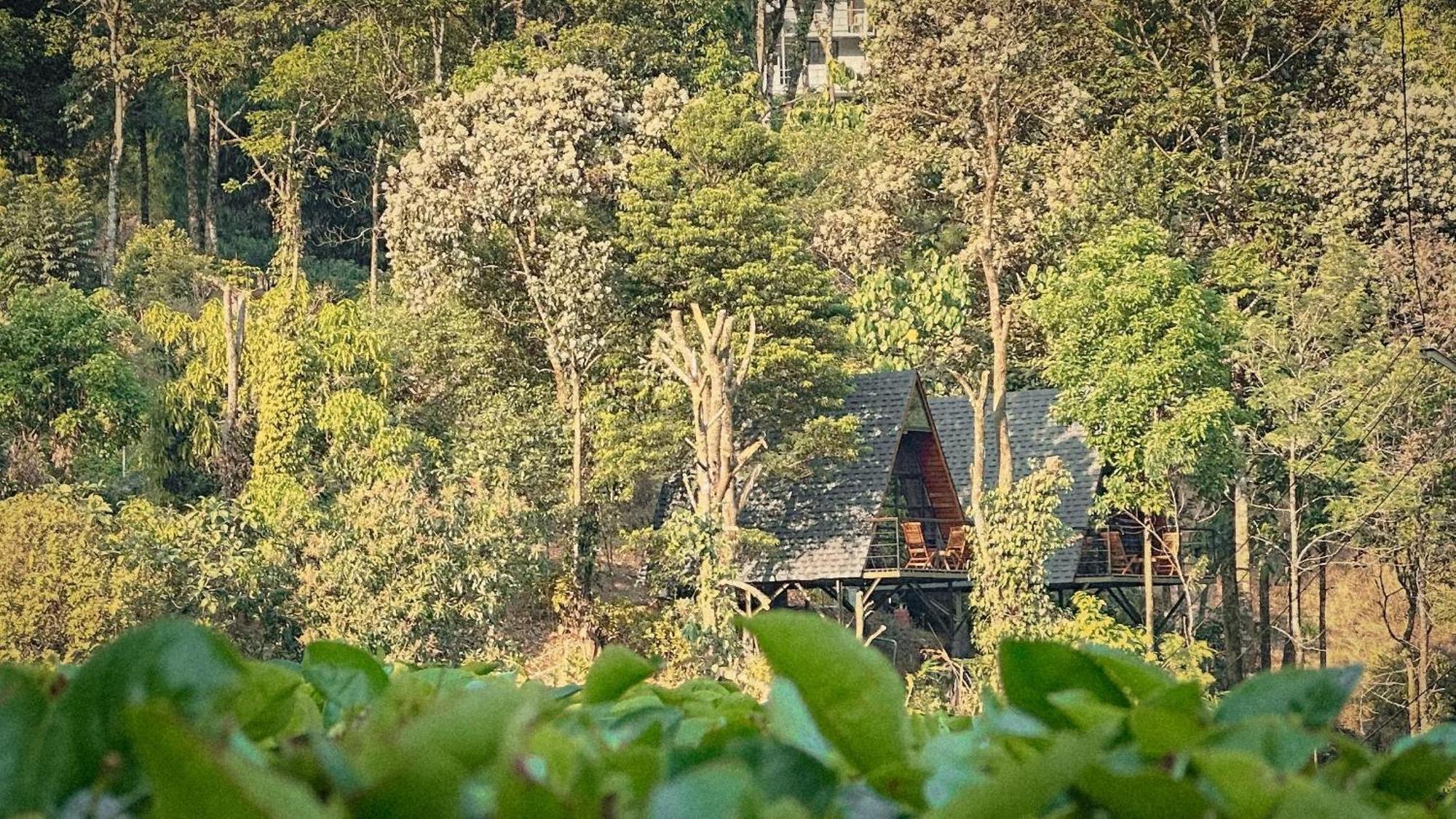 Forestscape Resort Munnar Eksteriør billede