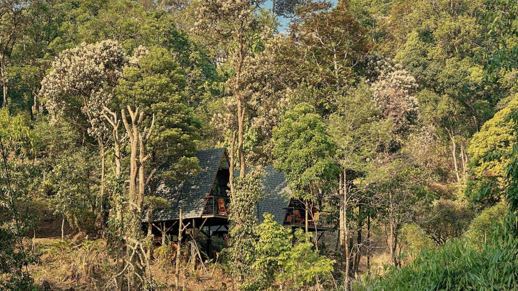 Forestscape Resort Munnar Eksteriør billede