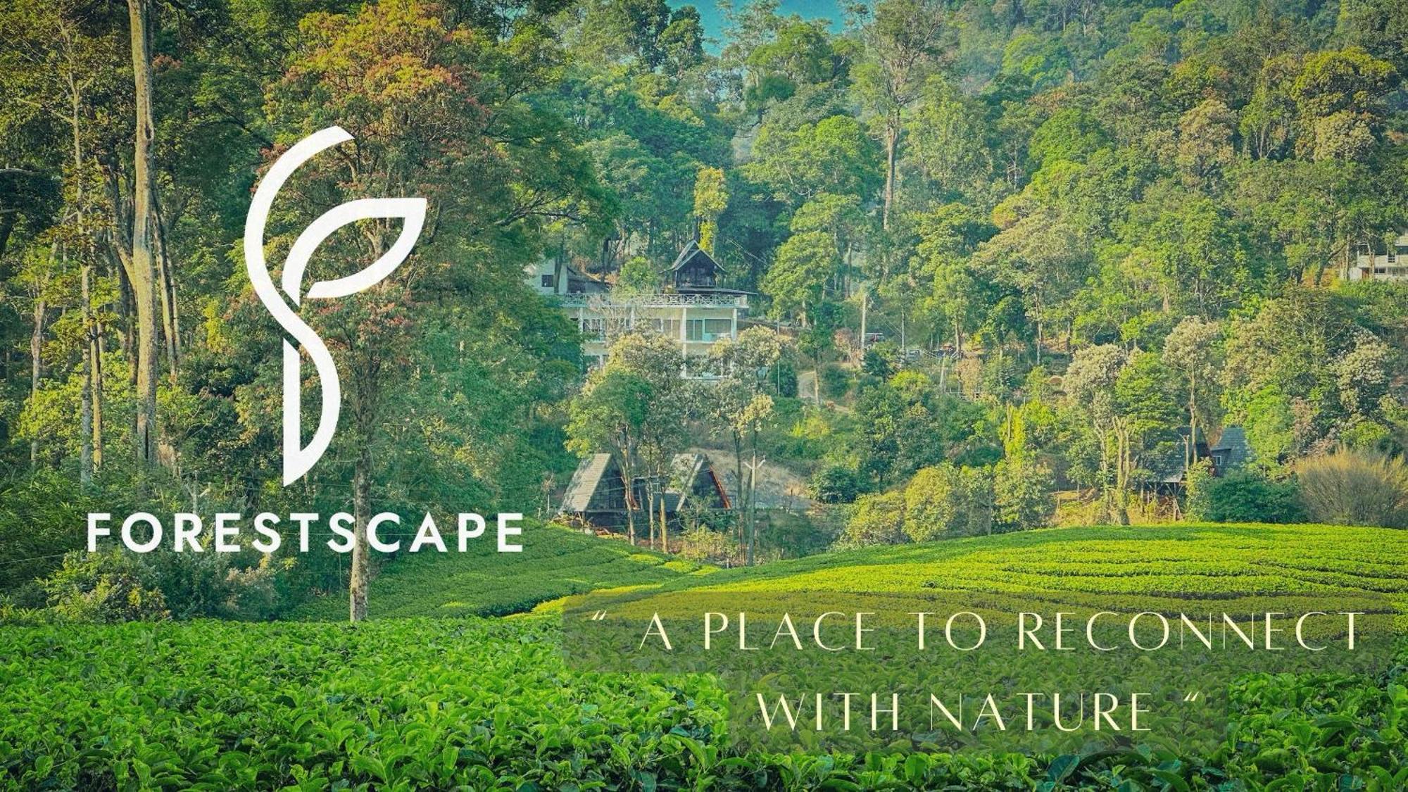 Forestscape Resort Munnar Eksteriør billede